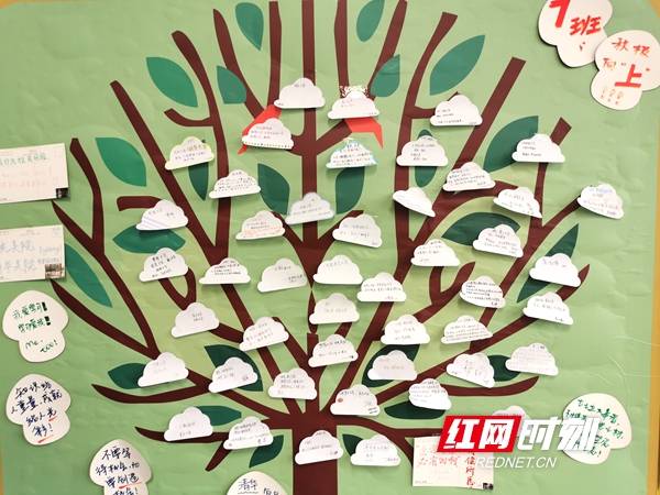 探寻自我规划未来 长沙周南中学学子让"梦想树"枝繁叶茂