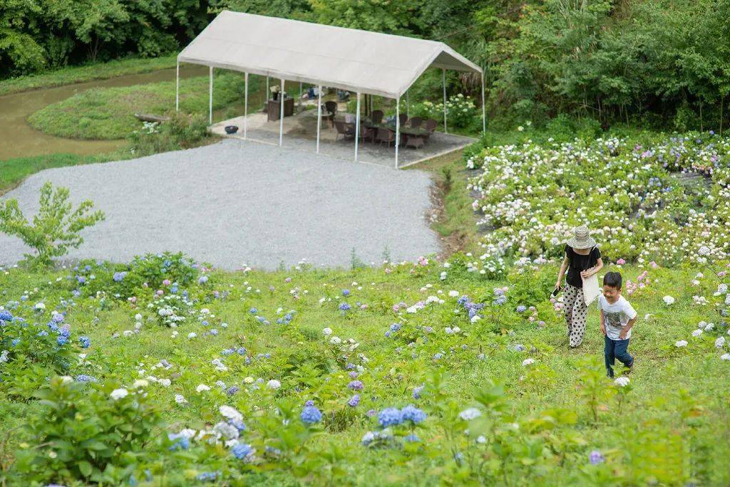 鹿野花塔