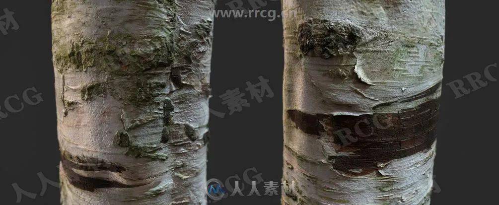 3d模型36组4k高精度树木树皮pbr纹理贴图合集第一季