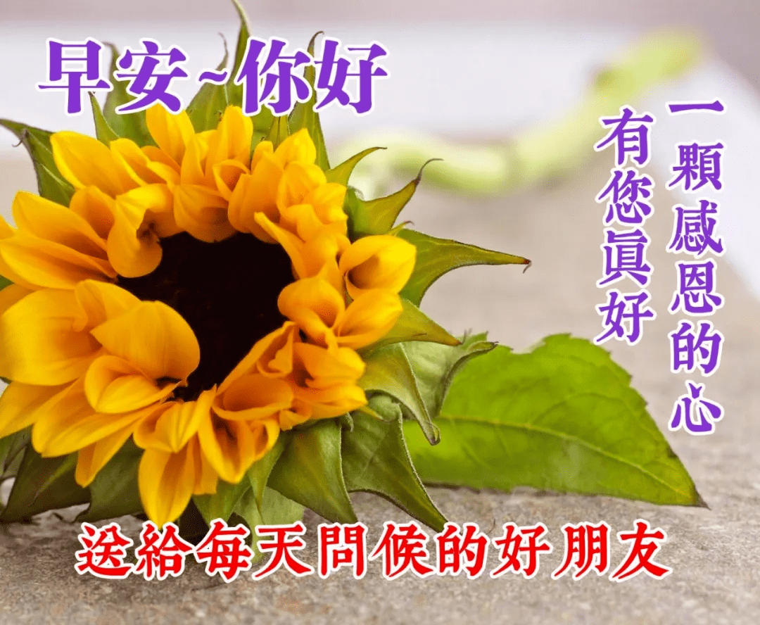 清晨问候大家早安漂亮动态表情图片 早晨好漂亮图片祝福语句子