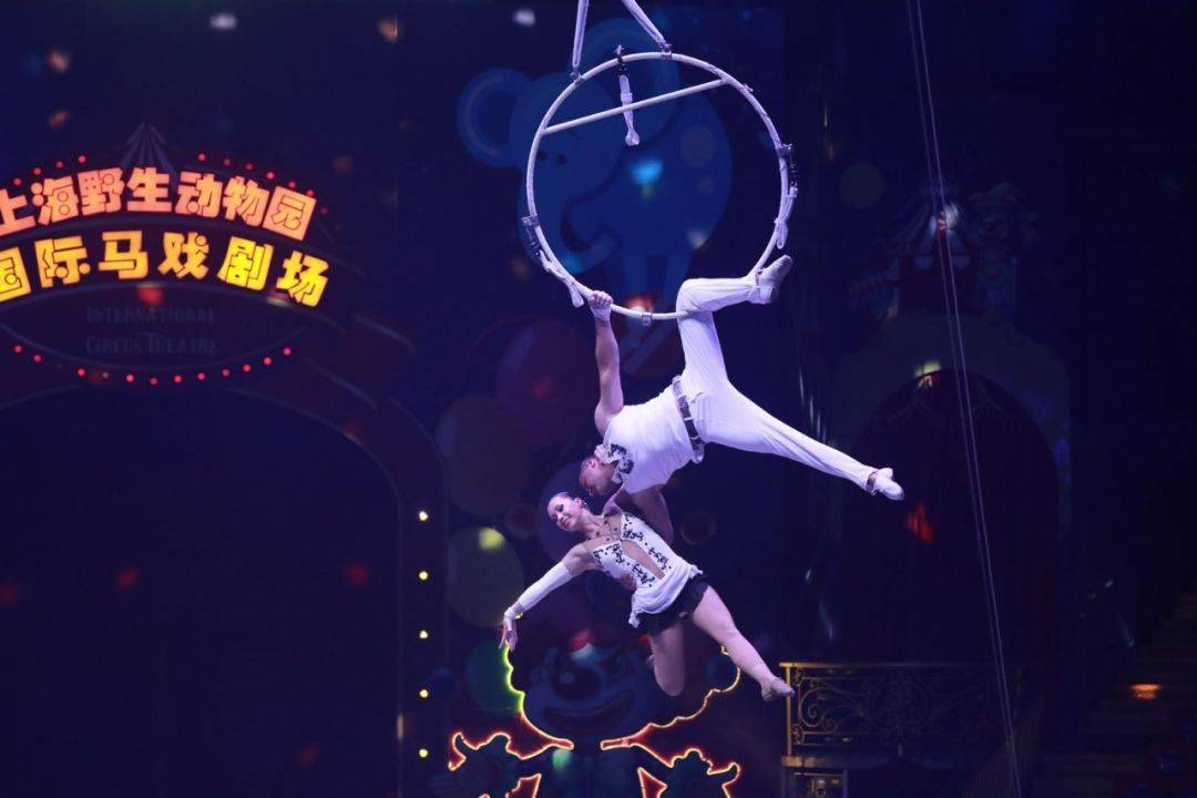 呼啦圈  令人目不暇接