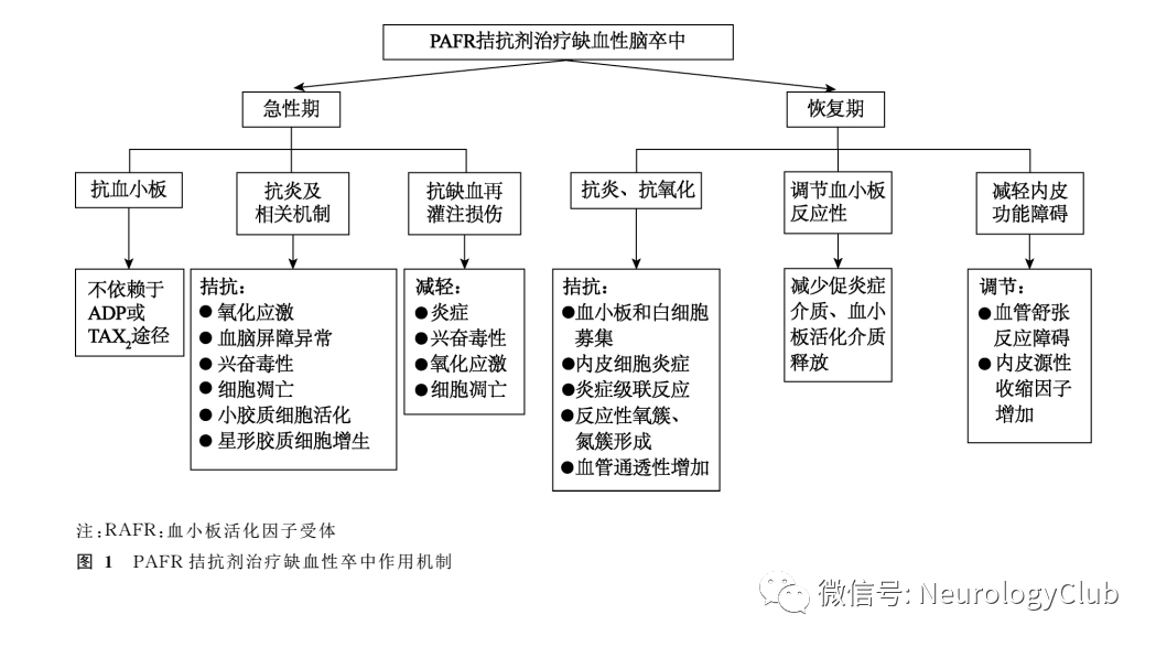 其命名起源于它最初被发现的血小板聚集功能,但目前已发现其具有广泛