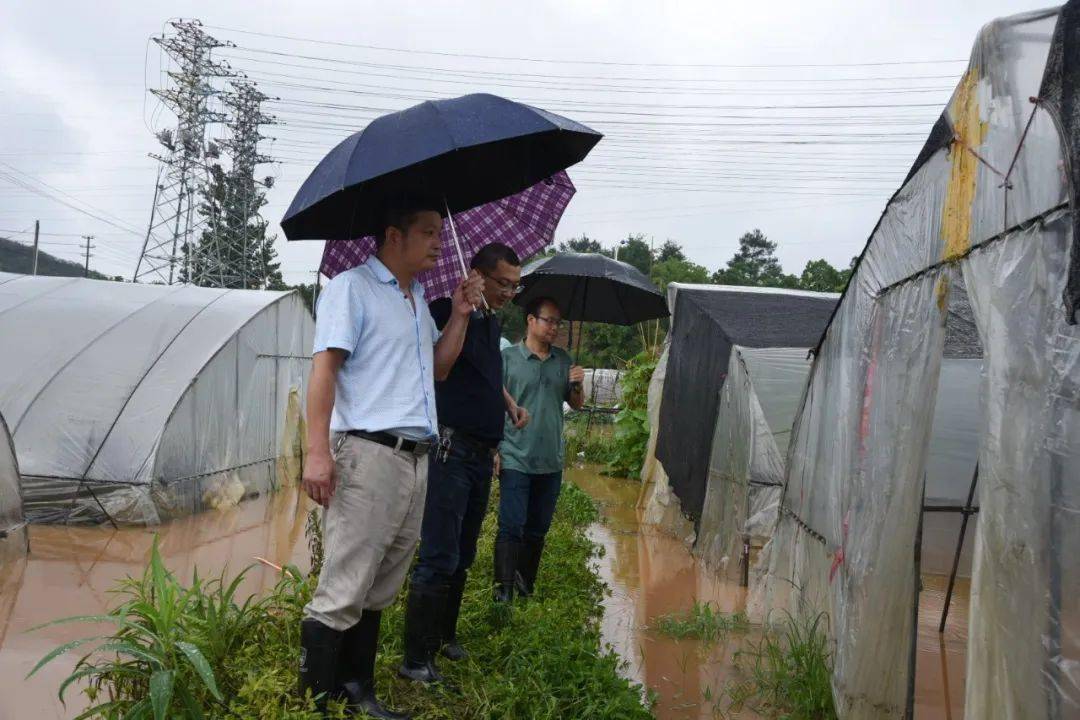 闻"汛"而动!全市农业农村系统筑起冲不倒的"堤坝"!