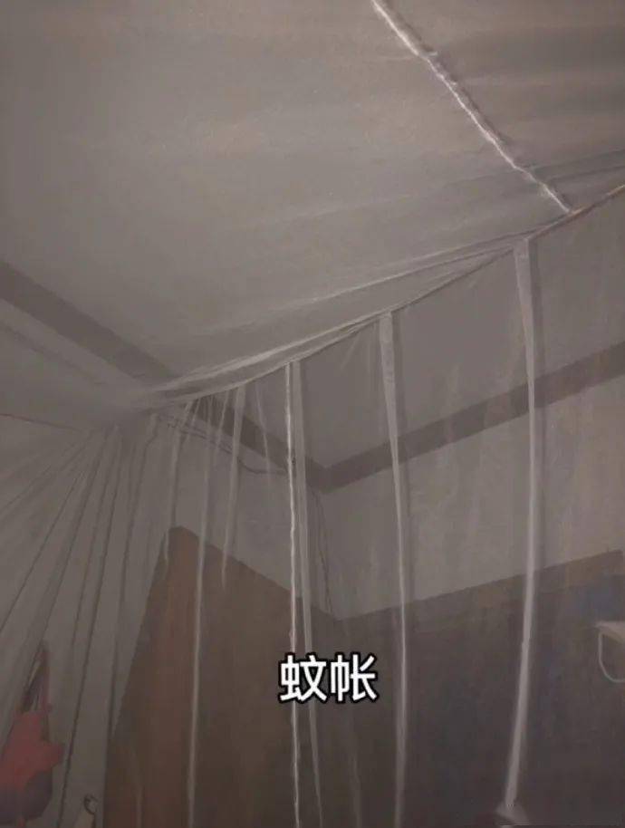726ef1b0d42a473ebdca71bd8d5c2945.jpeg