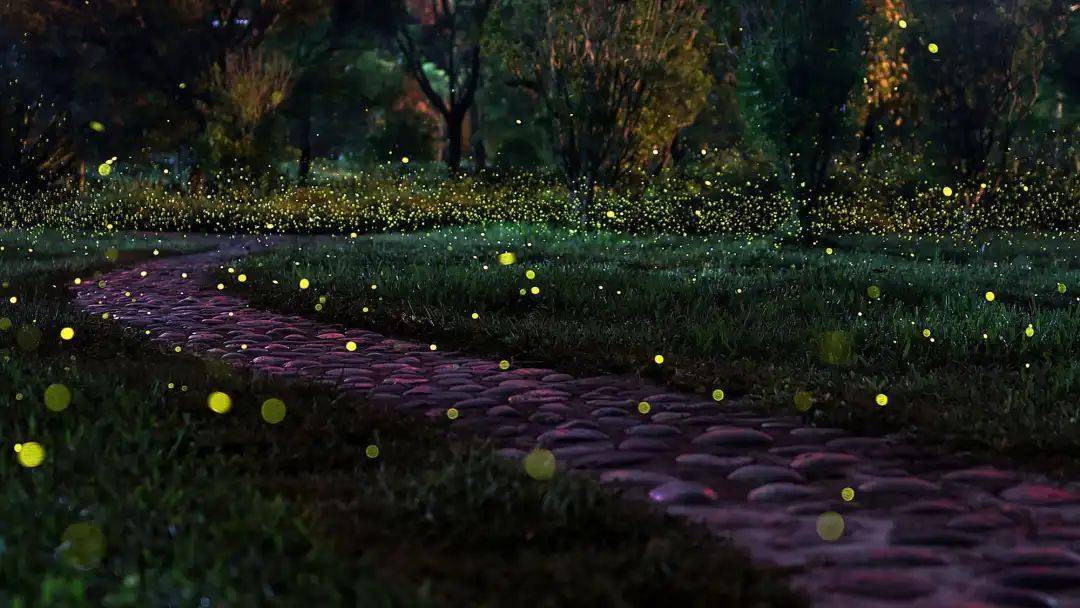 梦回幽夜，绿色长蛇床前绕——解析梦中绿色长蛇的深层含义