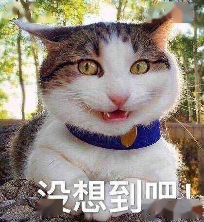 b55354ba84b447e8b644d5401b88d73a.jpeg