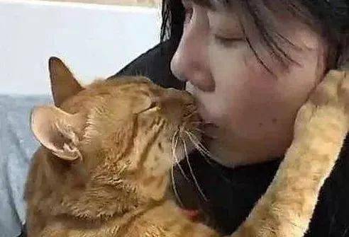 女主带橘猫去打针它却非要亲亲才妥协网友这猫成精了吧