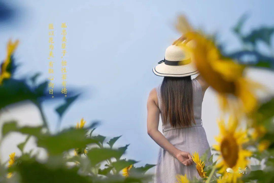 向日葵人像——背影