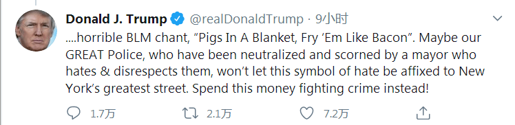 五大道|美媒：特朗普把“黑人的命也是命”称作“仇恨象征”