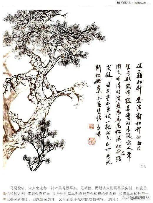 中国画技之松柏画法