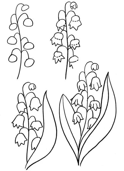 简笔画教程植物花卉类教程轻轻松松画