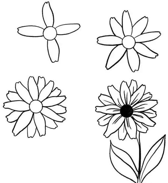 简笔画教程植物花卉类教程轻轻松松画