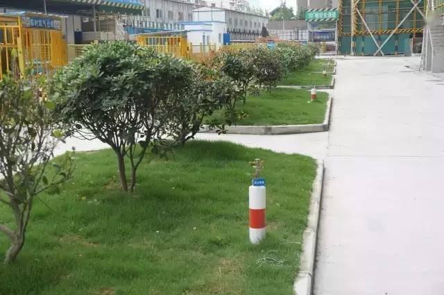 这工地肯定是女项目经理干的 ...