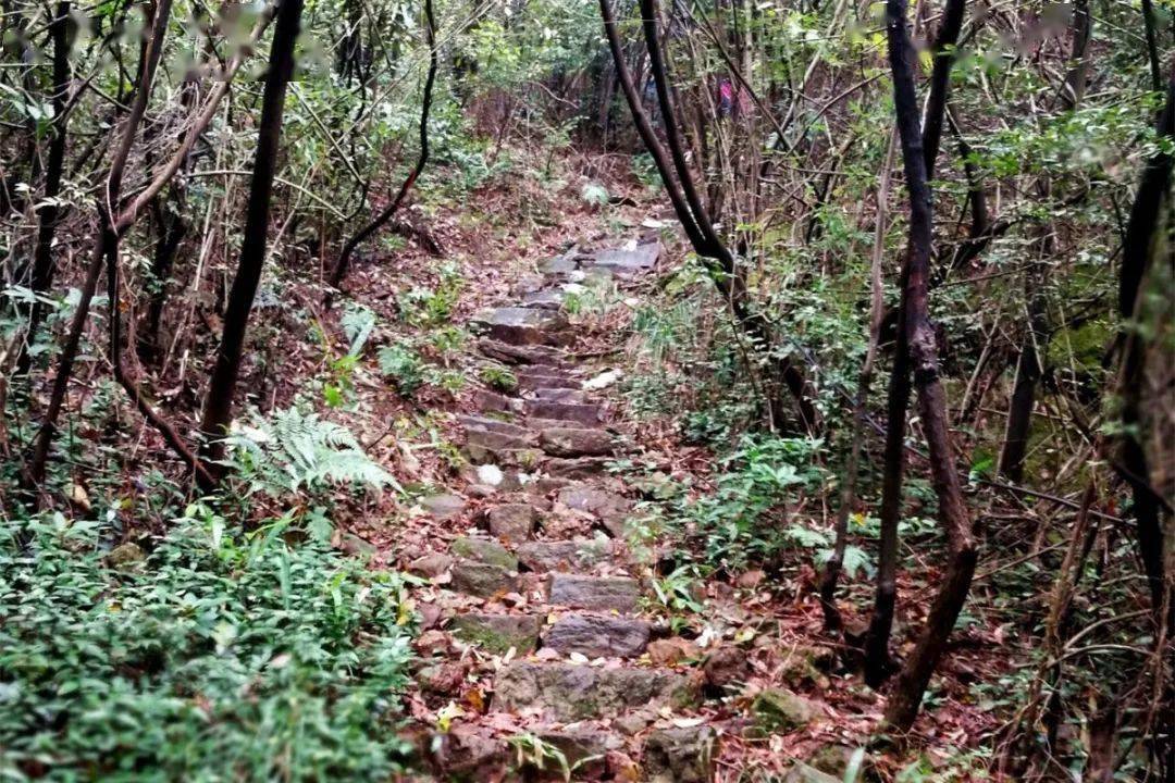 陆羽古道弯道多,风景美,是当年村民,香客与僧人上下山的必经之路,沿途