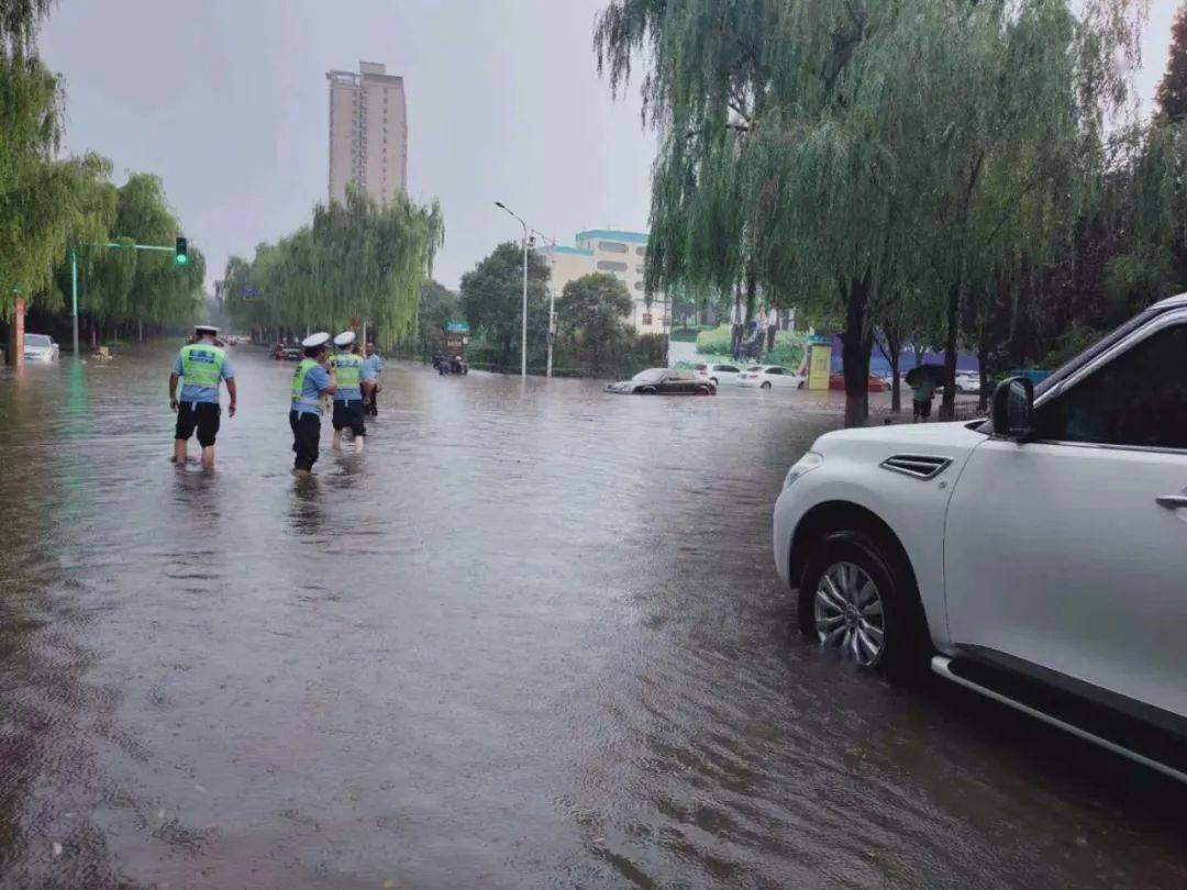 洛阳昨天的暴雨有多大?这一幕被拍.