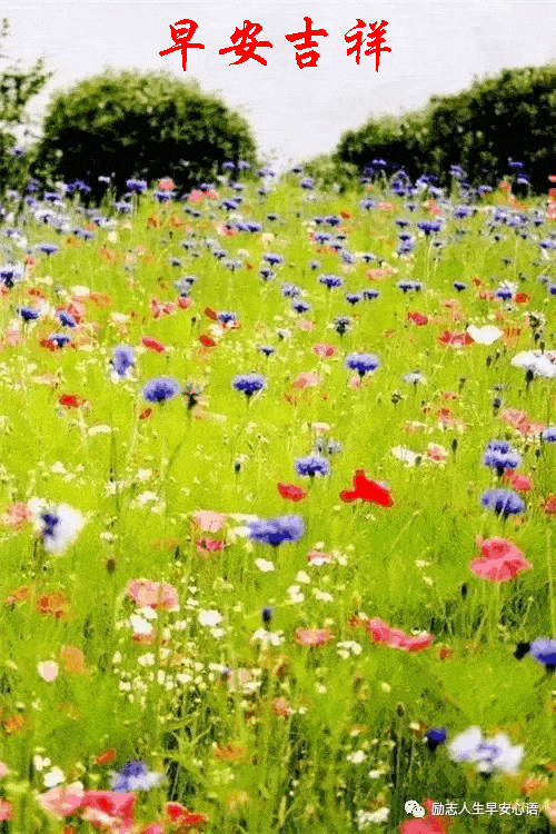 不敢慕荣华富贵不敢慕七步成诗不敢慕一言定国不敢慕名声震地但愿父