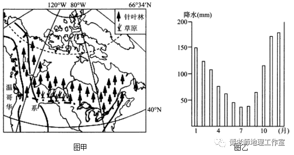 图甲是加拿大亚寒带针叶林分布图,图乙