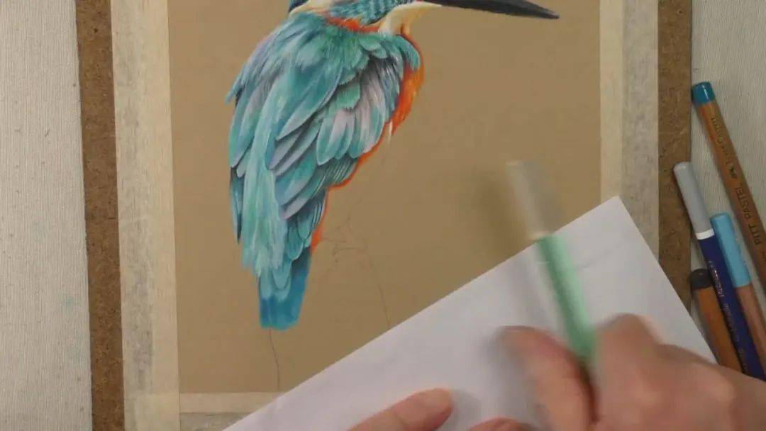 彩铅结合色粉有色卡纸画写实翠鸟