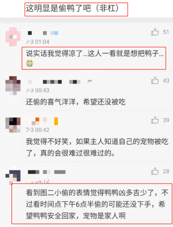 吉吉|知名艺人发布“寻鸭启事”，警方回应！结局令人心疼又愤怒……