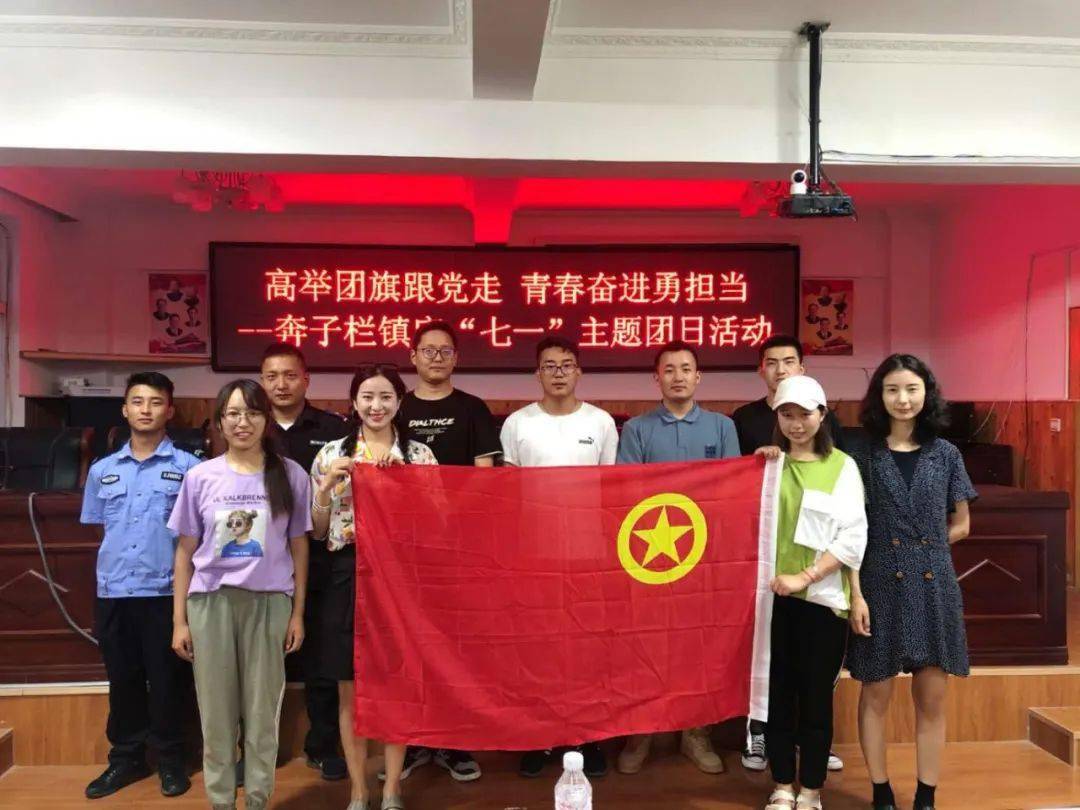 奔子栏镇团委开展"庆七一"主题团日活动