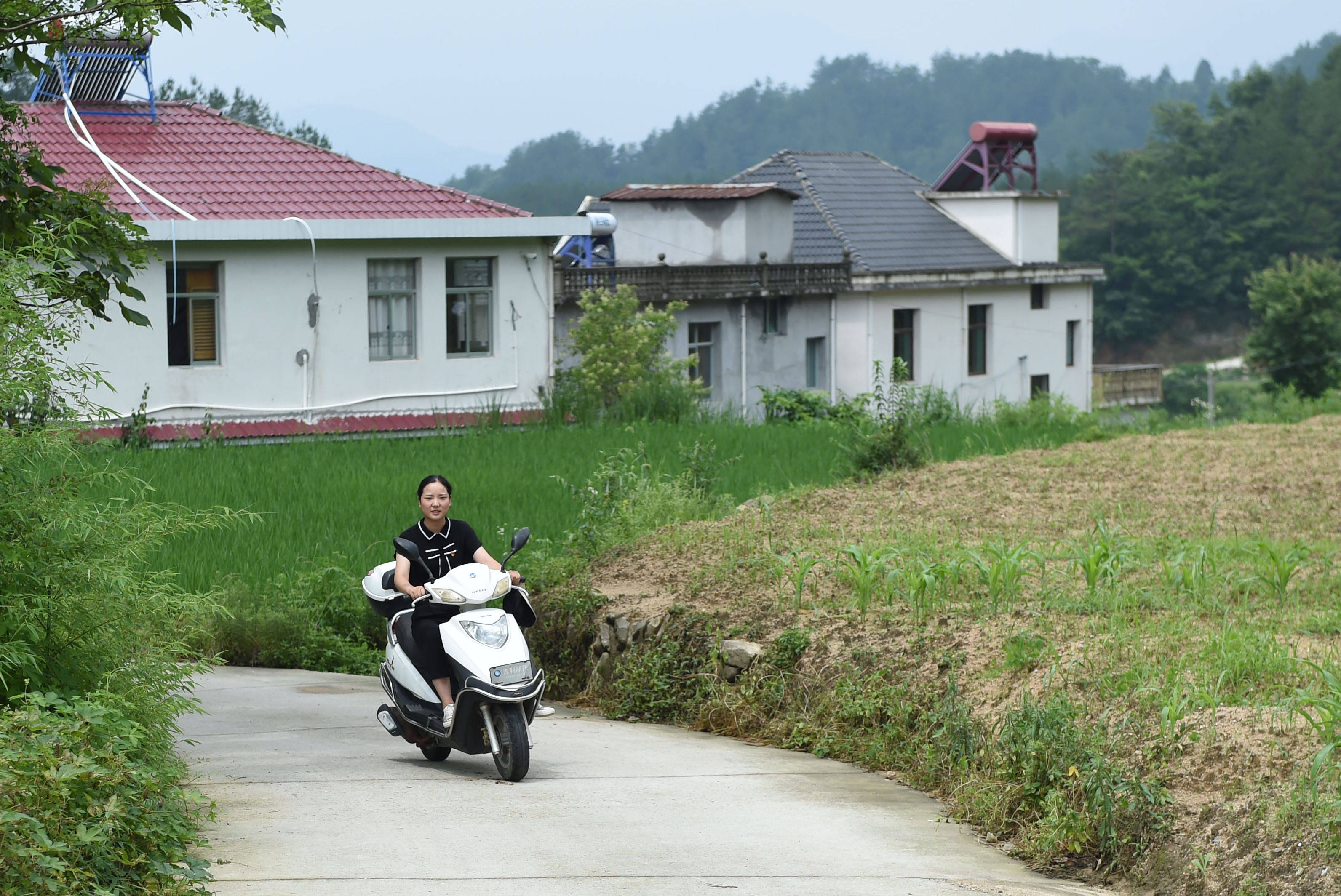 岳西县|青春，在希望的田野上——大别山区寻访“城归”大学毕业生