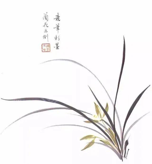 图文教程兰花的画法详解下