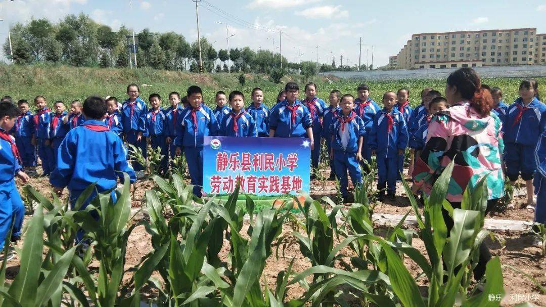 静乐县利民小学组织开展"劳动美"社会实践活动
