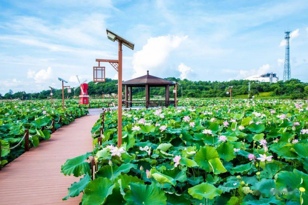 和你邂逅在惠来沟疏只为了等你一次驻足借清风丽日筑亭台水榭酿一池