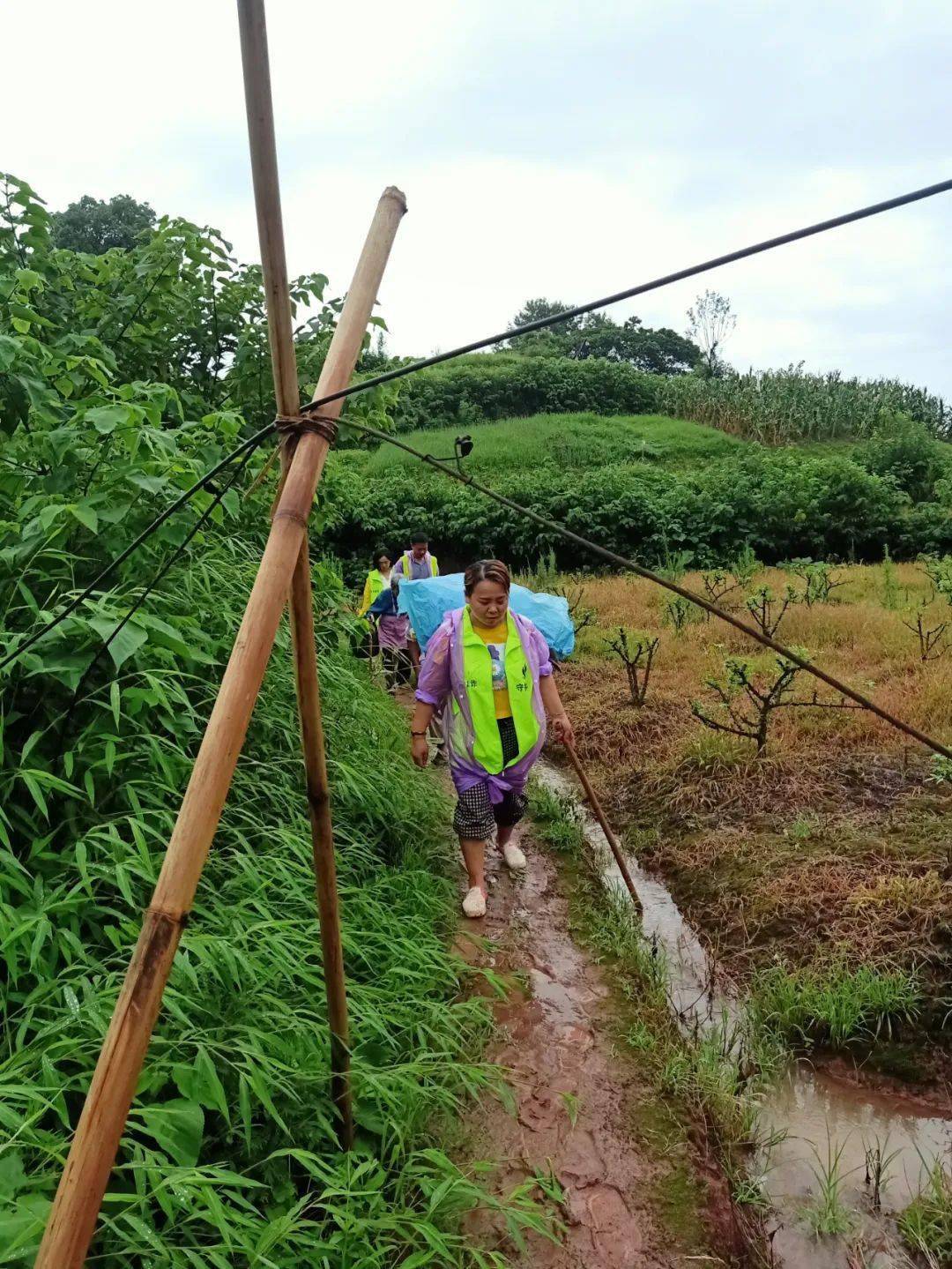 重庆江津区2020各镇GDp是多少_2020年东莞各镇街gdp(2)