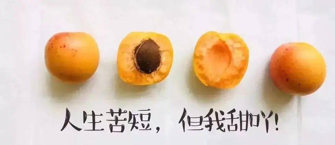 新疆吊干杏又回来了,肉厚!味甜!_杏子