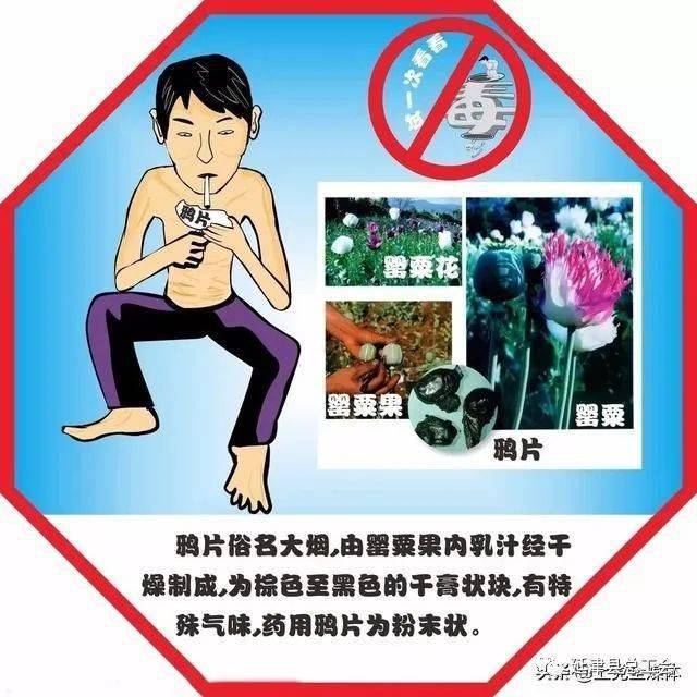 什么是毒品?禁毒小知识