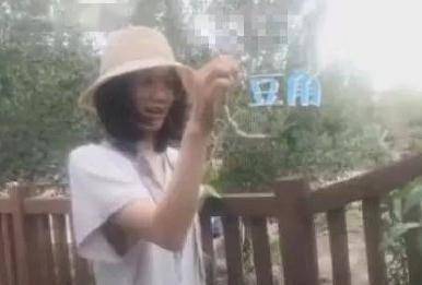 苗苗晒孕期视频,身材依旧纤瘦,新婚豪宅曝光