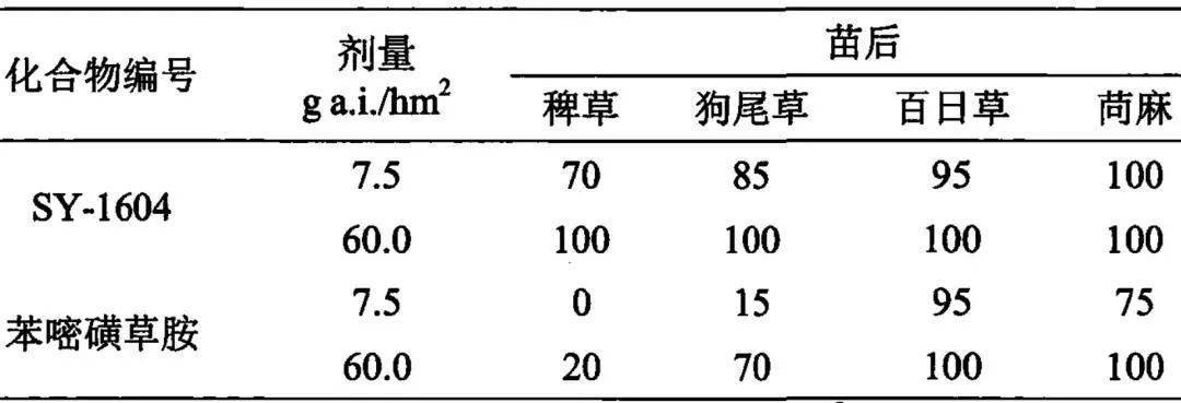 于，对禾本科杂草活性远优于苯嘧磺草胺（表1）。表1 sy 1604的室内复筛活性