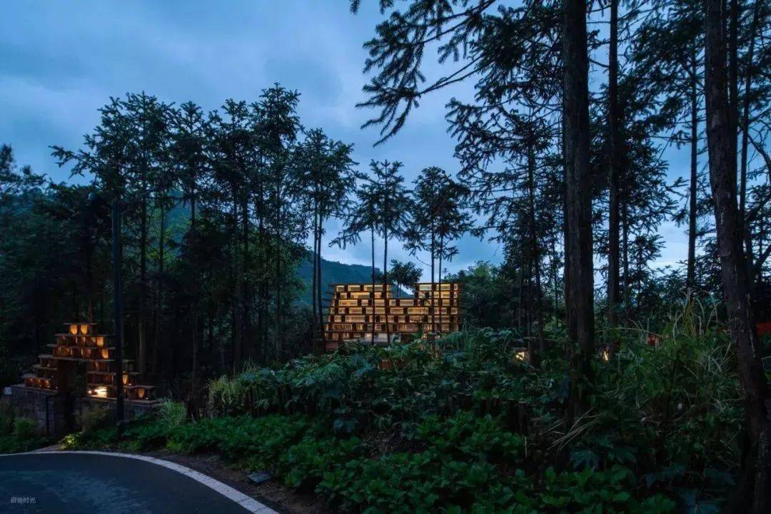 野奢树屋的创意设计,满足你对森林的所有幻想