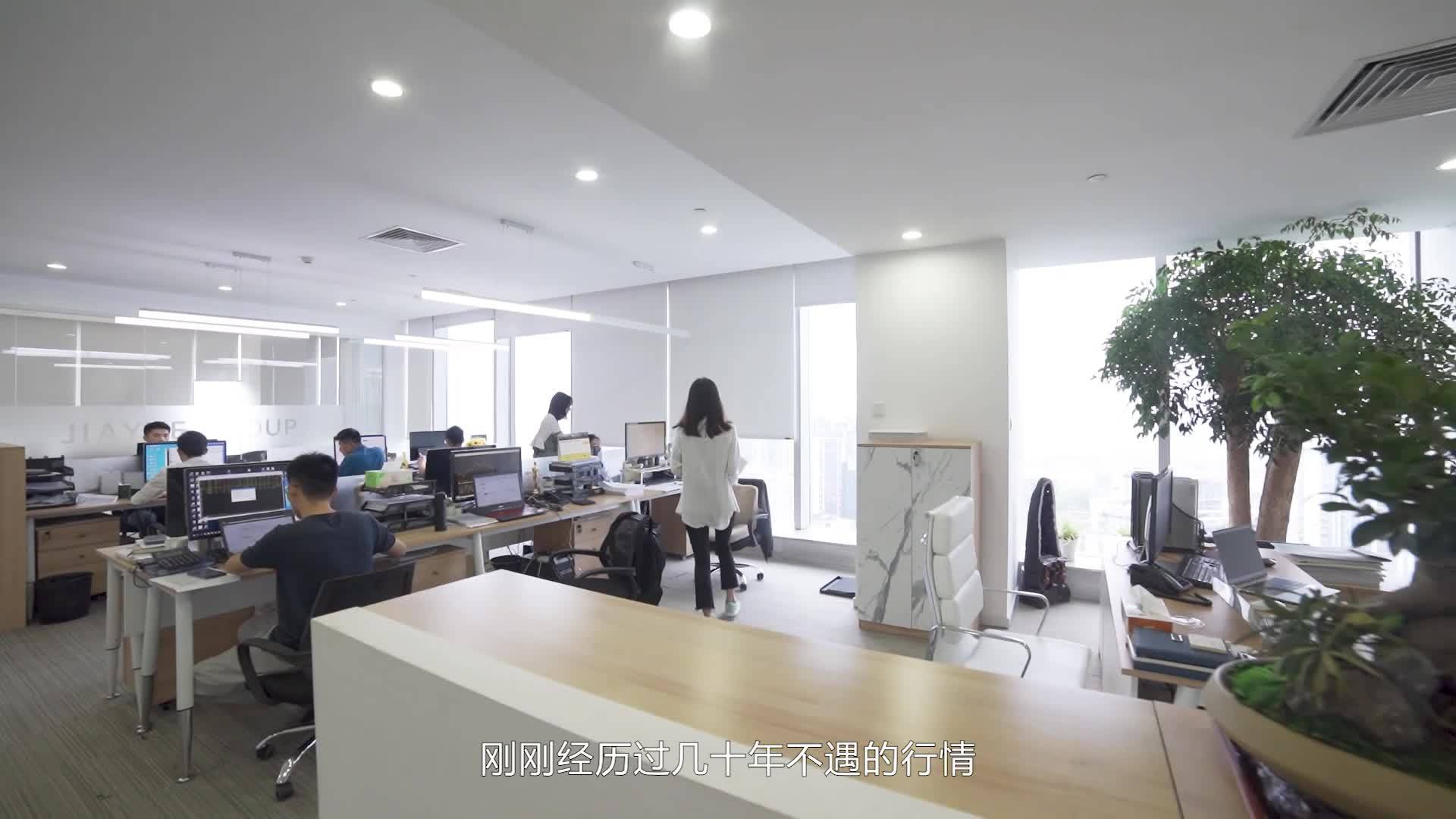 价格|海鸥期权助企业飞跃价格波动