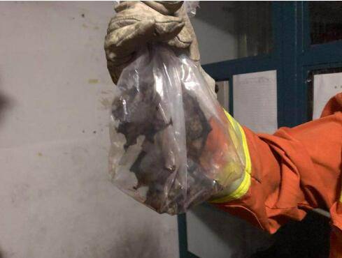 空调|整整十只！杭州城西一户，蝙蝠一家入住“空调房”