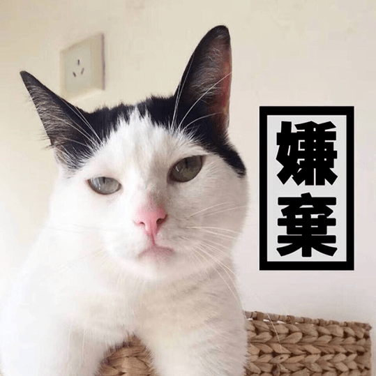 猫哭起来有多丑?长见识了.