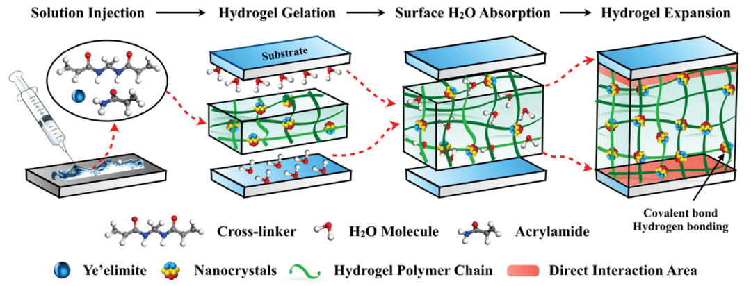 东南大学刘加平,孙正明,章炜Materials Horizons:水泥搅拌水凝胶 ...