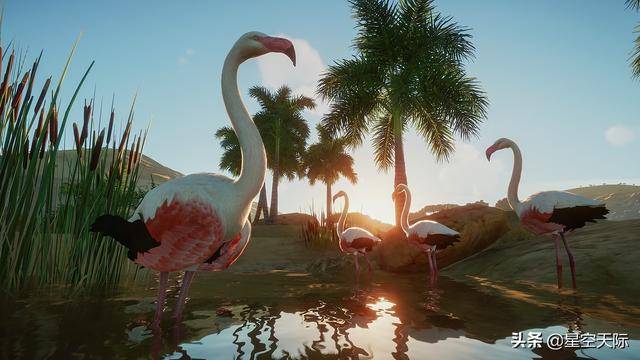 狒狒动物园之星游戏 4c9beb3bcabe45a8b70bd7b29945d963.jpeg