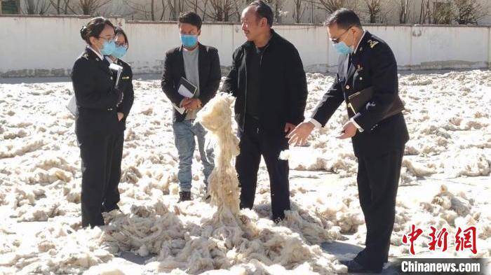 九成|民营企业撑起五月西藏外贸进出口九成五份额