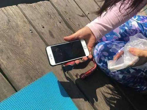 小何|萍乡这对贪心父女捡到手机转走钱 结果……