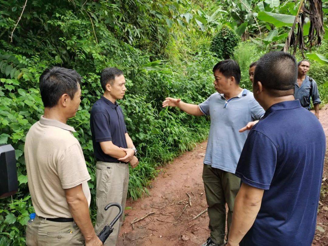 副州长刘俊杰丨到勐腊县调研督导破坏森林资源违法违规问题专项整治