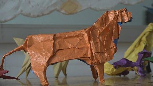 刘煜坤|烟台莱州：折纸少年刘煜坤