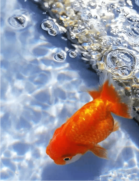 a9589075653f46339661bb10e6567f24.png