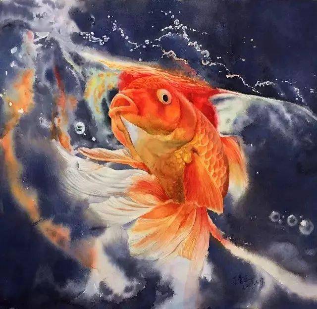 高考加油:一幅水彩锦鲤送给你!如鱼得水,金榜题名!