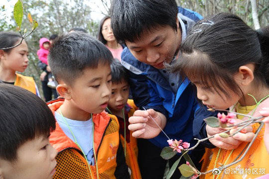 大自然|拥抱大自然！“深圳娃”探秘自然又添3个省级自然教育基地