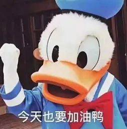 官宣|官宣！最新放假通知！