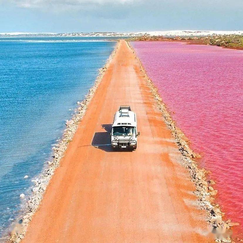 颜色|为什么年龄越大，越喜欢粉色？