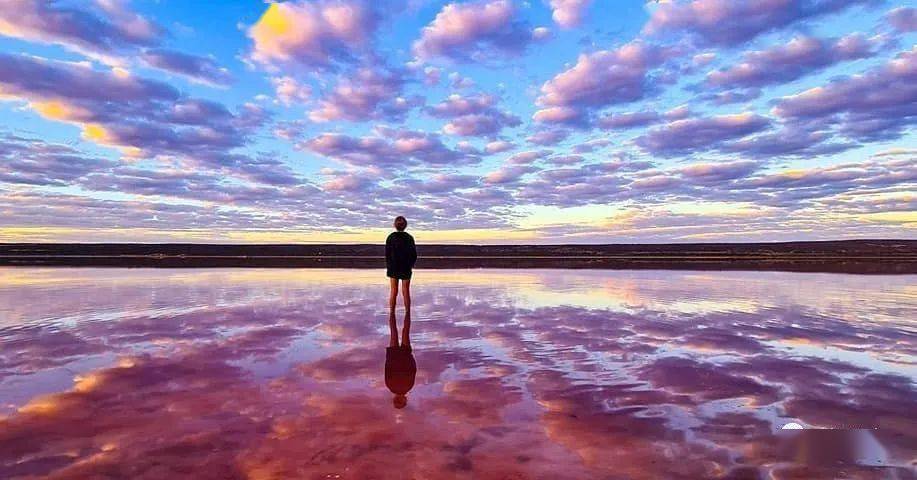 颜色|为什么年龄越大，越喜欢粉色？