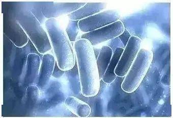 毛孔|原来想要拥有干净、清透的“初恋素颜脸”，只需要做好这一步！